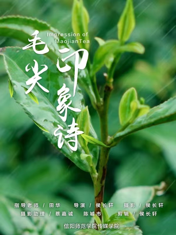 hg皇冠官网